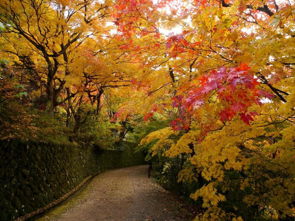 Hida Takayama Park City Hotel Exterior foto